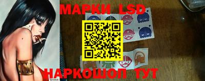 СК Волгодонск
