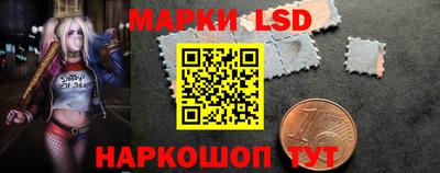 СК Волгодонск