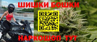 СК Волгодонск