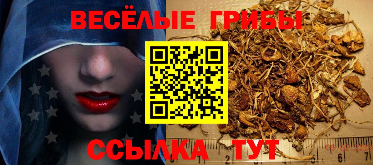 Псилоцибиновые грибы прущие грибы Похвистнево