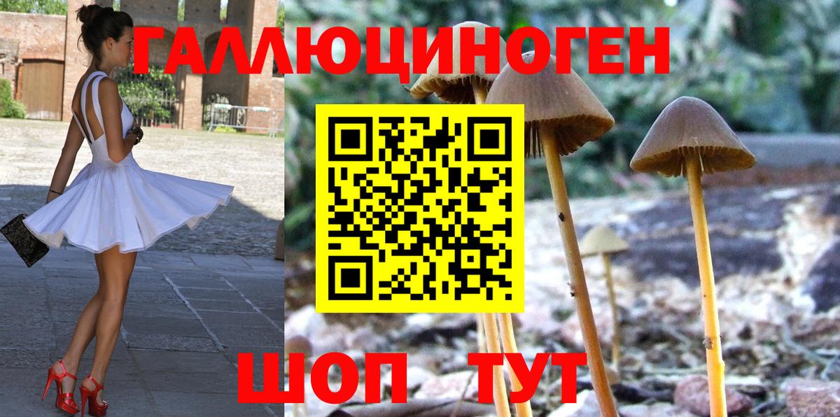 Галлюциногенные грибы прущие грибы  Вход с VPN  где можно купить   Похвистнево 